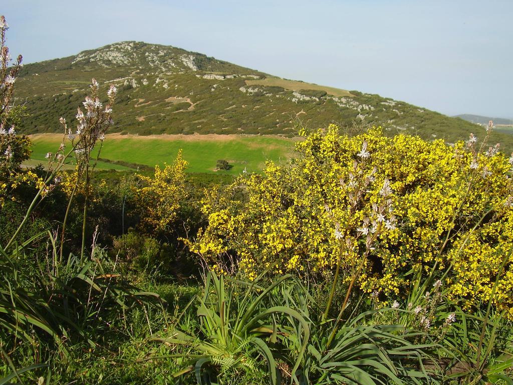 Agriturismo Cuile de Molino Porto Torres Esterno foto