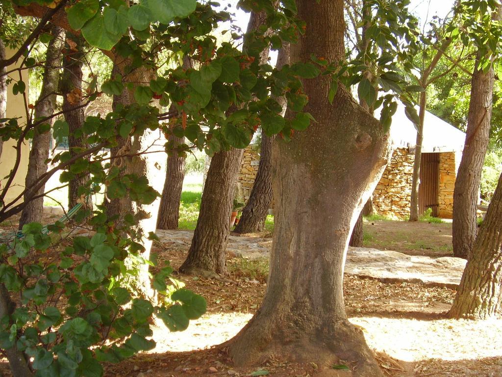 Agriturismo Cuile de Molino Porto Torres Esterno foto
