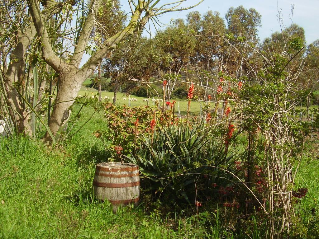 Agriturismo Cuile de Molino Porto Torres Esterno foto