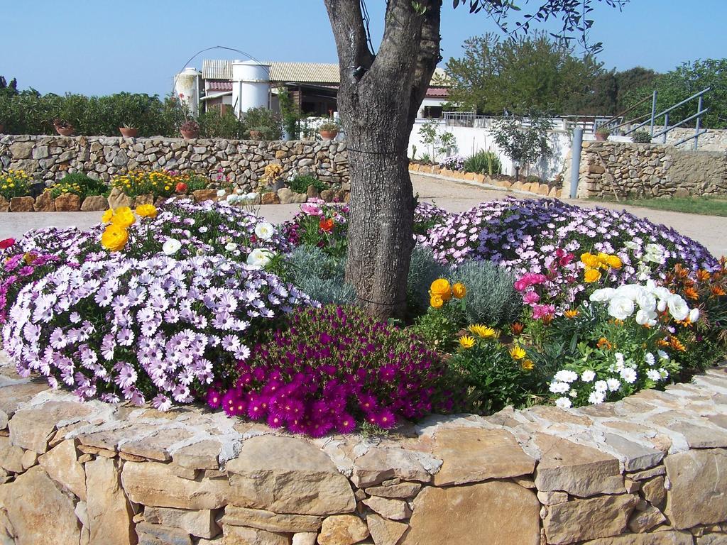 Agriturismo Cuile de Molino Porto Torres Esterno foto