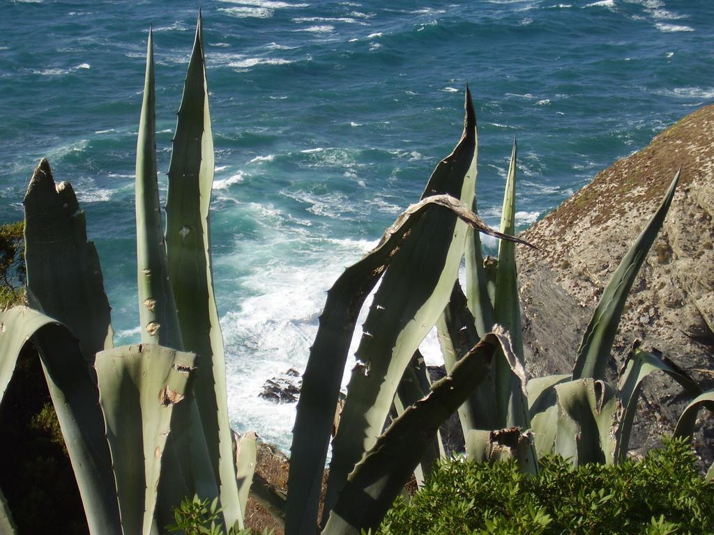Agriturismo Cuile de Molino Porto Torres Esterno foto